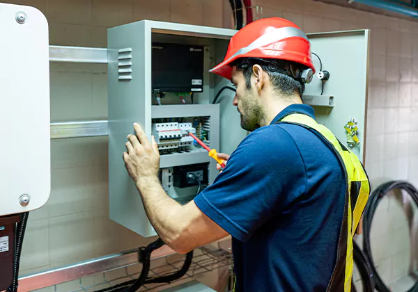 Electrical Panel Upgrade Madison